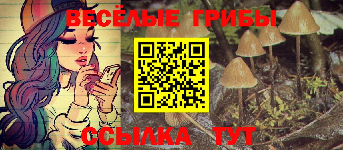 Галлюциногенные грибы Cubensis  Галлюциногенные грибы ЛСД  Самара  Вход с VPN 